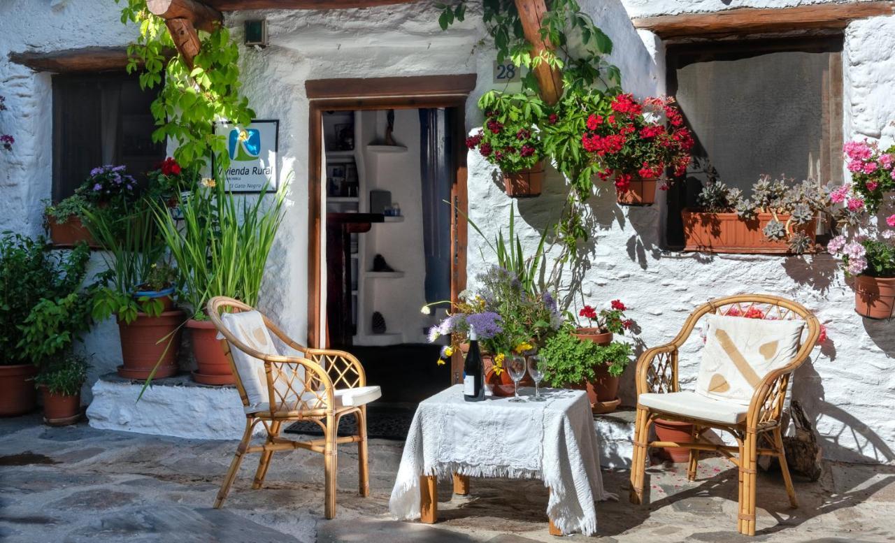 El Gato Negro Villa Капилейра Екстериор снимка